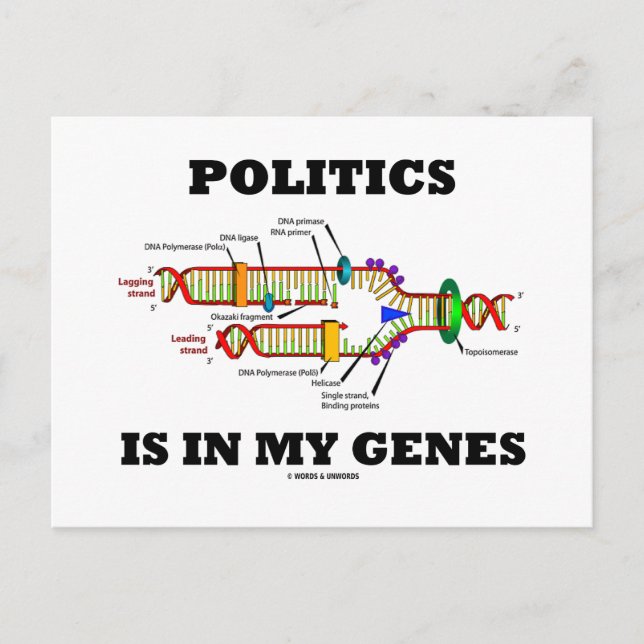 Politik liegt in meinem DNA-Spaß Postkarte (Vorderseite)