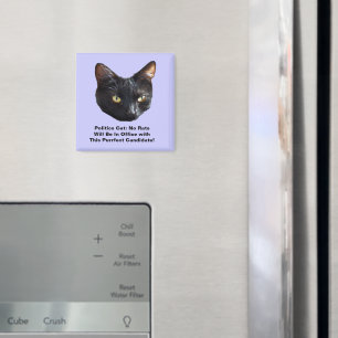 Politische Katze Keine Raten werden im Amt Sq Magn Magnet