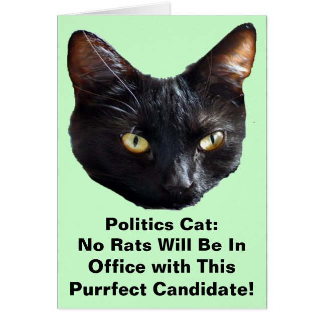 Politische Katzenkatze ohne Ratten wird im Amt sei (Vorne)