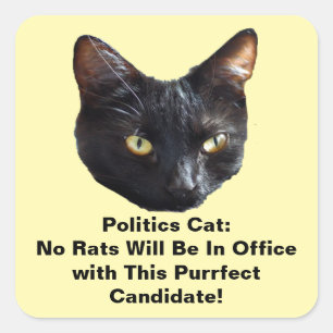 Politische Katzenklatsche Keine Ratten werden in d Quadratischer Aufkleber