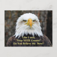 Politische Satiren-amerikanische Weißkopfseeadler