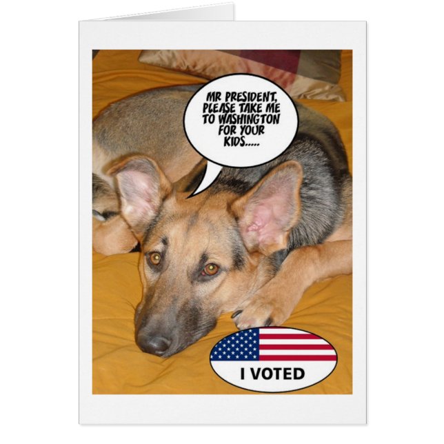 Politischer Humor (Vorne)