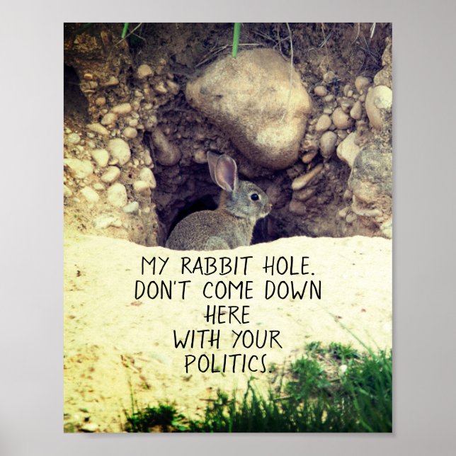 Politisches Kaninchen Hole Bunny Foto Politischer  Poster (Vorne)