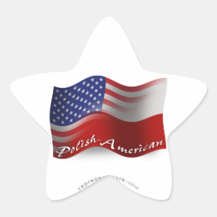 Politur-Amerikanische wellenartig bewegende Flagge Stern-Aufkleber
