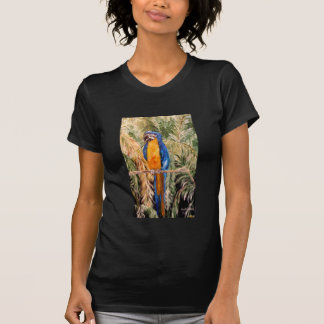 "Polk Parrots" le petit T-shirt de dames