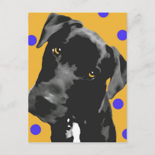 Polka Dot Postkarte