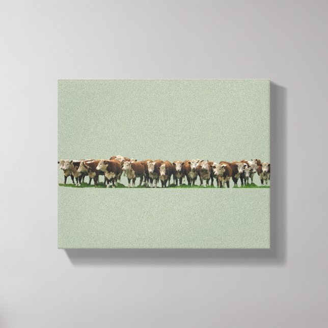 Poll Herefords Leinwanddruck (Vorderseite)