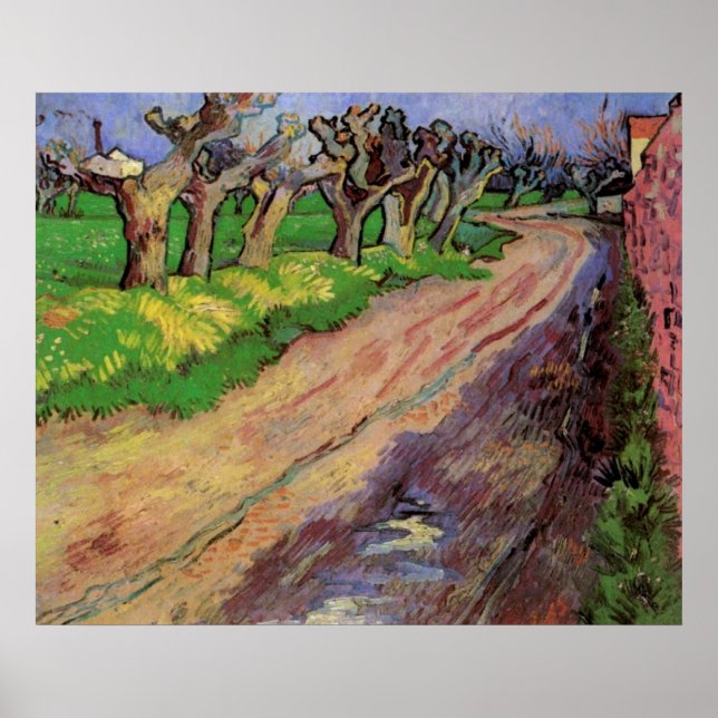 Pollard Willows von Vincent van Gogh Poster (Vorne)