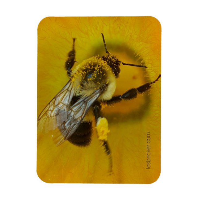 Pollen-covered Bee Magnet (Vertikal)
