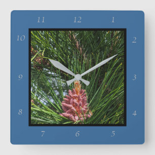 Pollenkrone (Pinus resinosa) Quadratische Wanduhr