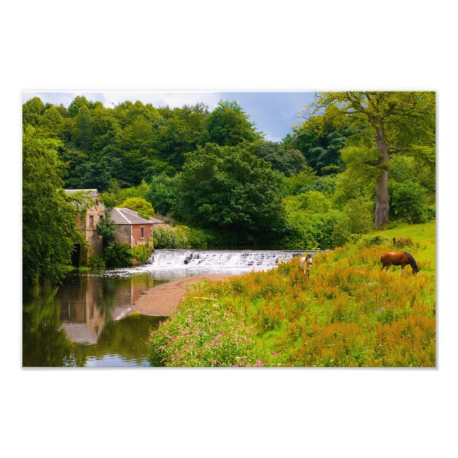Pollok Park, Glasgow Foto print (Vorne)