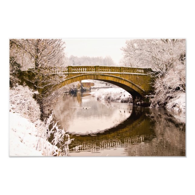 Pollok Park, Glasgow Foto print (Vorne)