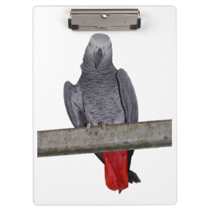 Polly Clipboard (Farbe auswählen) Klemmbrett