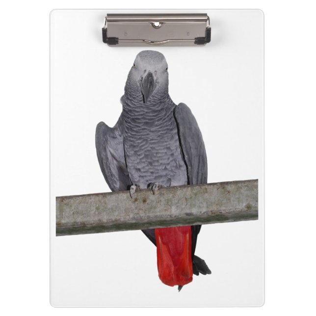 Polly Clipboard (Farbe auswählen) Klemmbrett (Vorderseite)