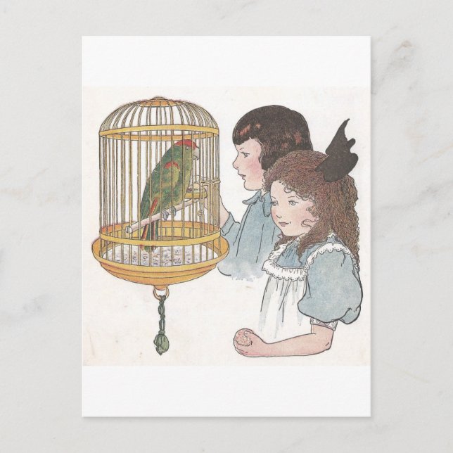Polly der Papagei Postkarte (Vorderseite)