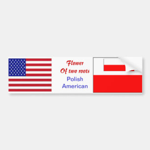Polnisch-amerikanische Autoaufkleber