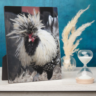 Polnisch Created Rooster Fotoplatte