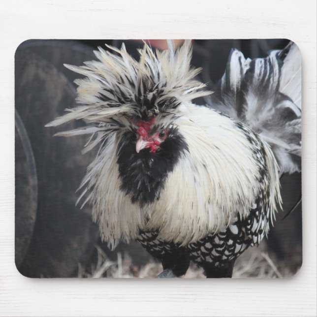 Polnisch Created Rooster Mousepad (Vorne)