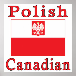 Polnische Falkenflagge Poster