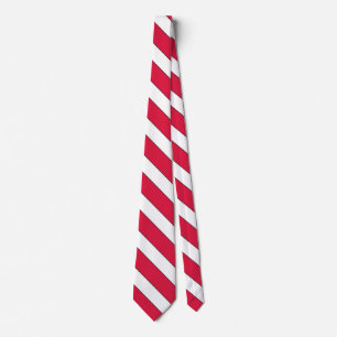 Polnische Flagge Elegant Patriotic Neck Tie Krawatte