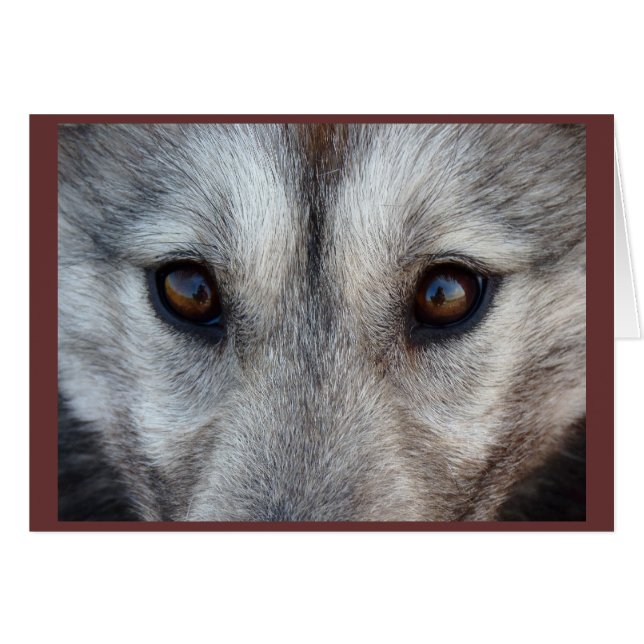 Polnische Schlittenhundekarte Benutzerdefinierte W (Vorderseite (Horizontal))