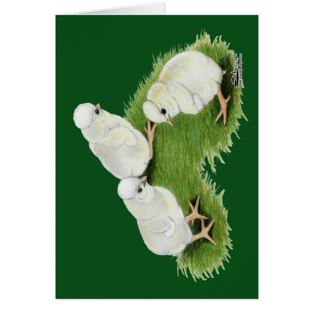 Polnische Splash Chips (Vorne)