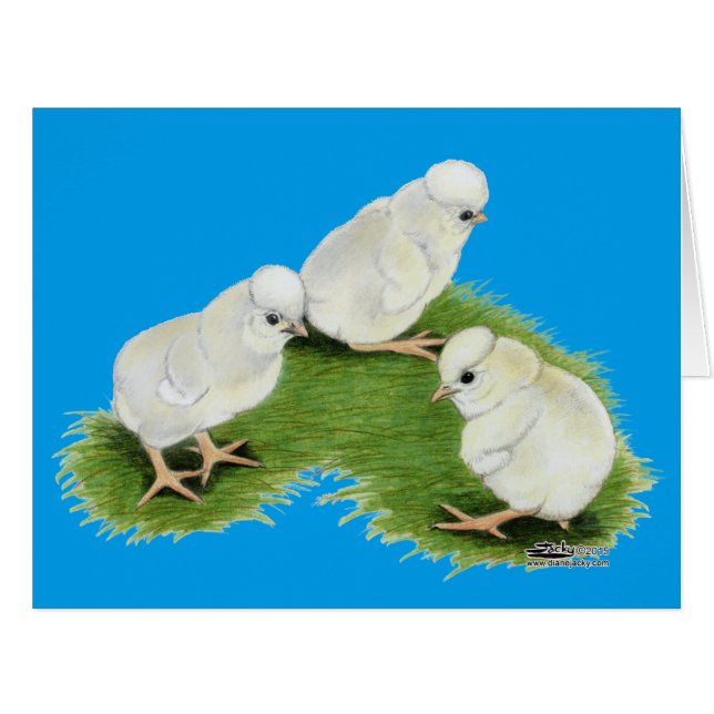 Polnische Splash Chips (Vorderseite (Horizontal))