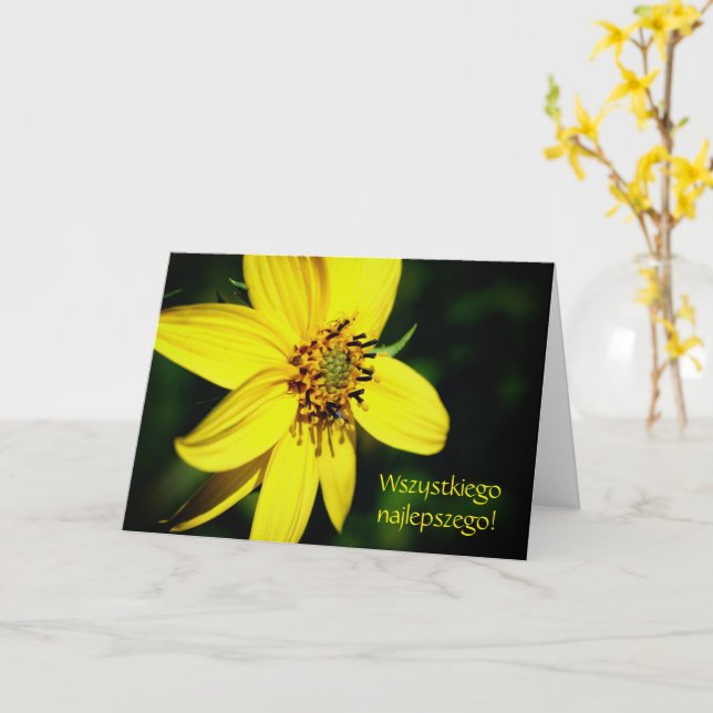 Polnischer Geburtstag Sto Lat Sonnenblume Karte (Gelbe Blume)