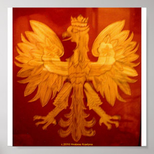 POLNISCHER HOLZPARKPLATZ POSTER