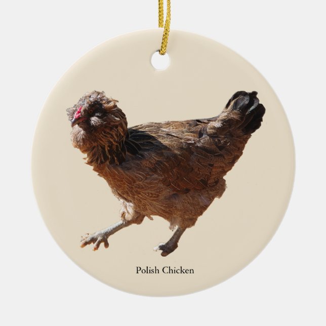 Polnischer Hühner-Schmuck Keramik Ornament (Vorne)
