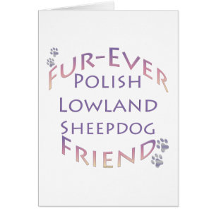Polnischer Lowland Sheepdog Fur-ever Friend