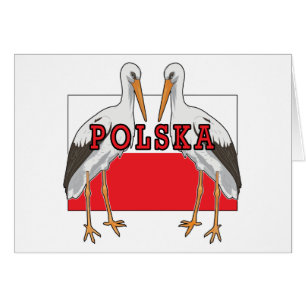Polnischer Weißstorch Polska