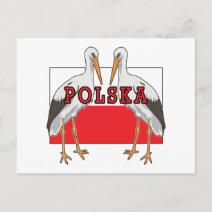 Polnischer Weißstorch Polska Postkarte