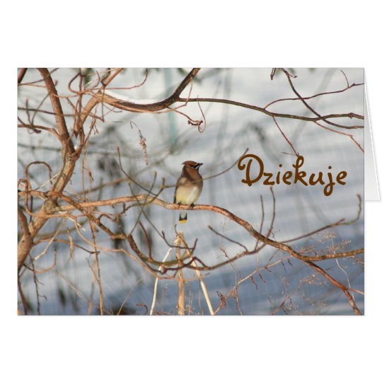 Polnisches Tier-Natur-Foto danken Ihnen zu Karte