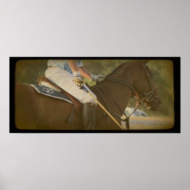 Polo Horse Poster (Vorne)