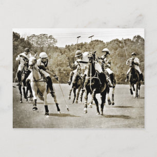 Polo Horses Galloping Postkarte