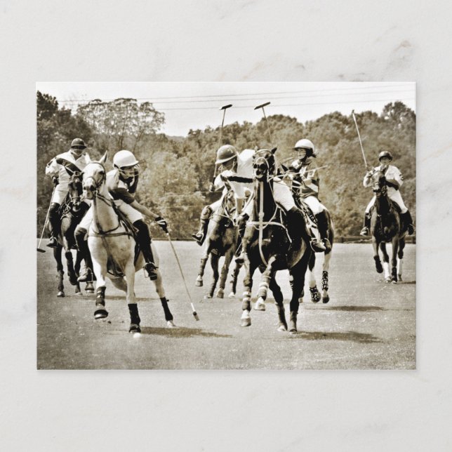 Polo Horses Galloping Postkarte (Vorderseite)