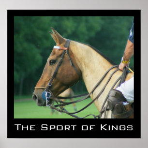 Polo-Pony-und-Reiter-Plakat Poster