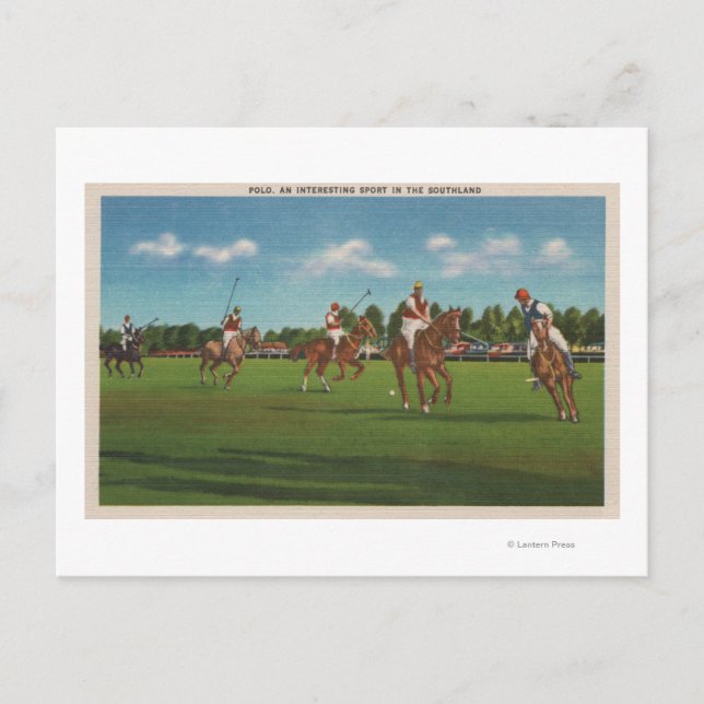 Polo Szene mit Spielern und Pferden auf dem Rasen Postkarte (Vorderseite)