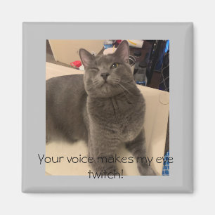 Polo the cat "Your voice makes my eye twitch! Magnet