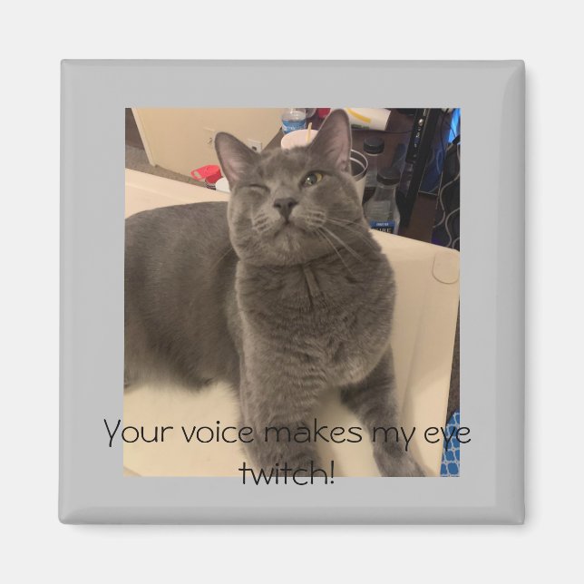 Polo the cat "Your voice makes my eye twitch! Magnet (Vorne)