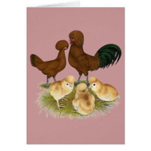 Polonais : Famille Rouge