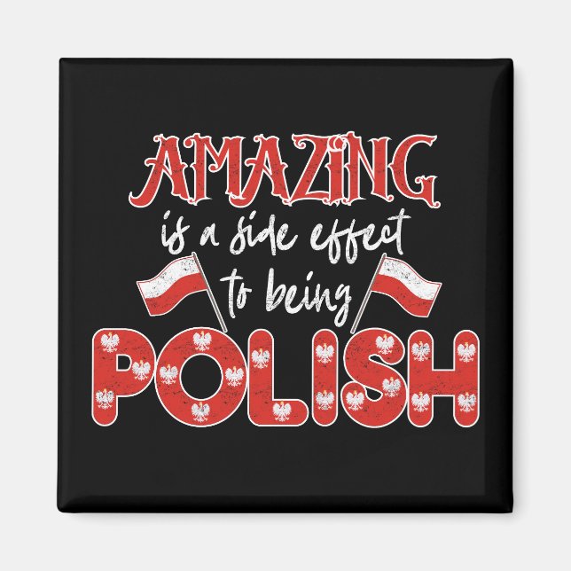 Polska Phantastisch ist eine Nebenwirkung, die Pol Magnet (Vorne)