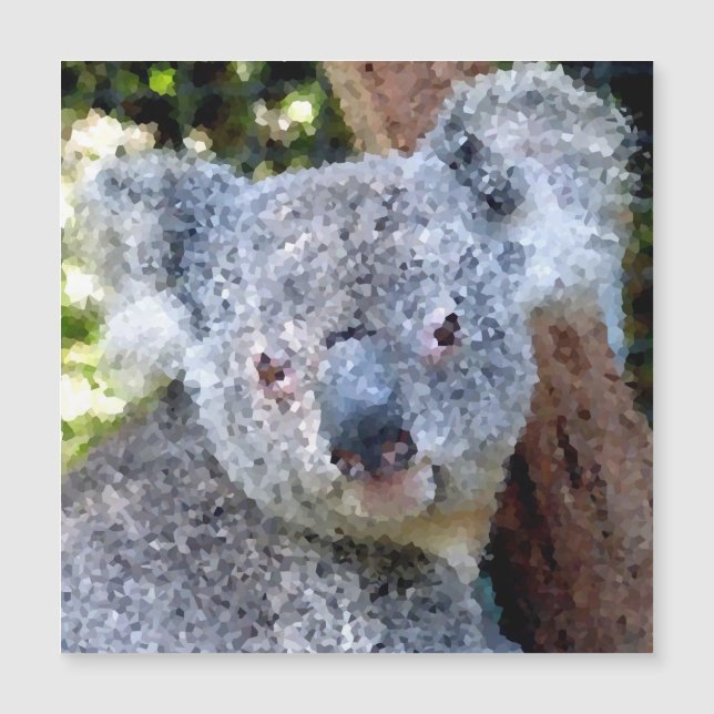 Poly Animals - Koala Magnetkarte (Vorderseite)