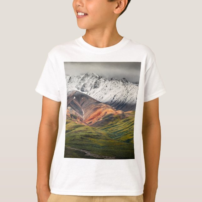 Polychrome-Berg, Denali NP, Alaska T-Shirt (Vorderseite)