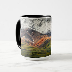 Polychrome-Berg, Denali NP, Alaska Tasse