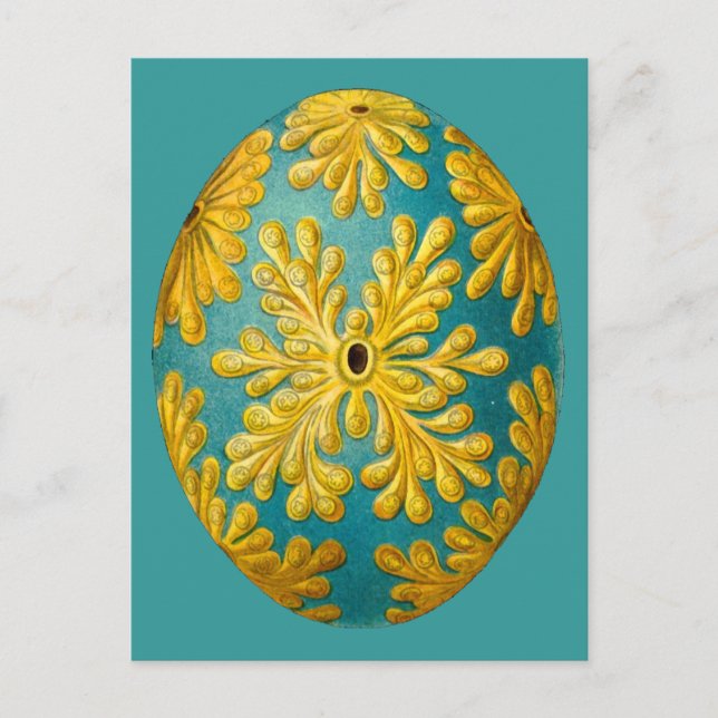 Polyclinum constellatum, Ernst Haeckel Vintag Postkarte (Vorderseite)
