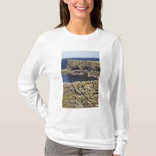 Polygonales Basalt, Staffa, vor Isle of Mull, T-Shirt