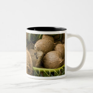 Polynesien, Königreich Tonga. Kokosnüsse ausgestel Zweifarbige Tasse