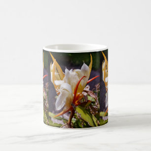 POLYNESISCHER DRACHENKAKTUS NACHTBLÜTE  KAFFEETASSE